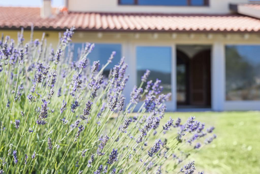 קסטליונה דלה פסקאיה Agriturismo Terre Di Castiglione מראה חיצוני תמונה