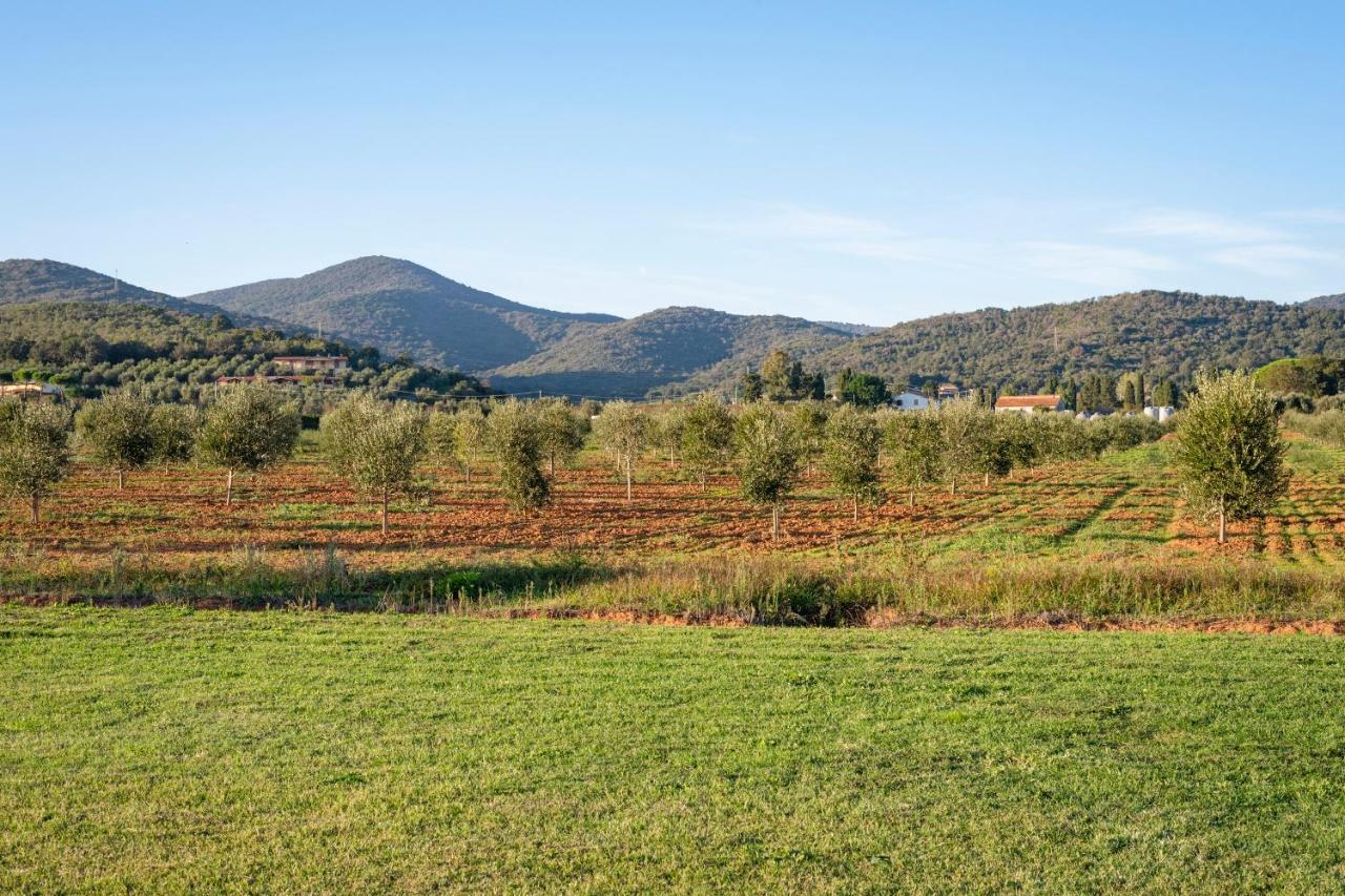 קסטליונה דלה פסקאיה Agriturismo Terre Di Castiglione מראה חיצוני תמונה