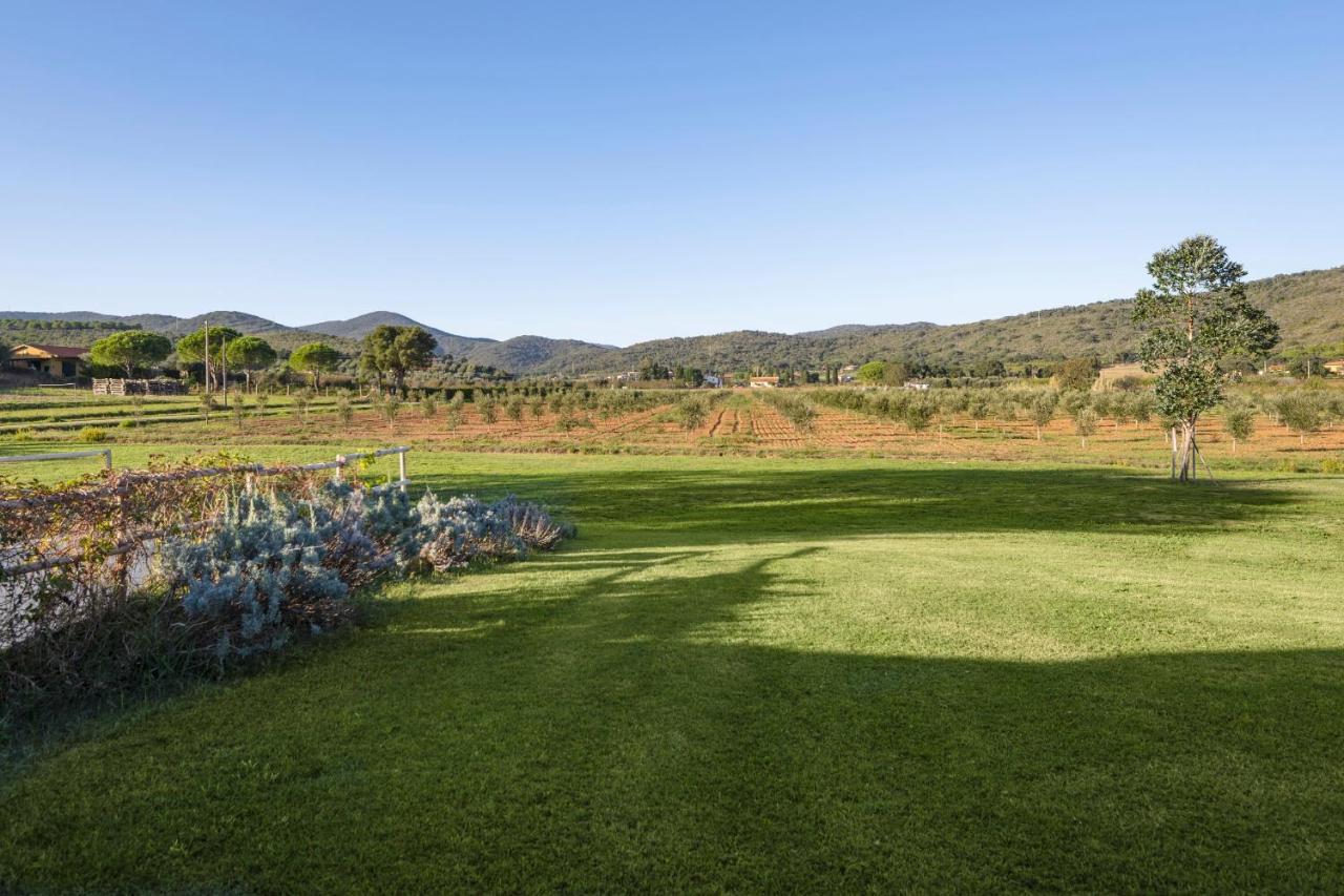 קסטליונה דלה פסקאיה Agriturismo Terre Di Castiglione מראה חיצוני תמונה