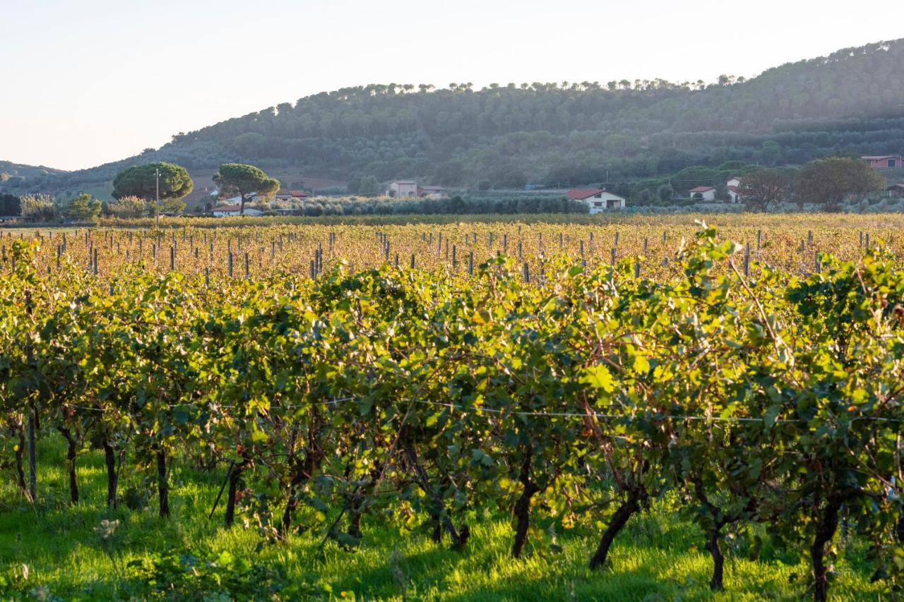קסטליונה דלה פסקאיה Agriturismo Terre Di Castiglione מראה חיצוני תמונה