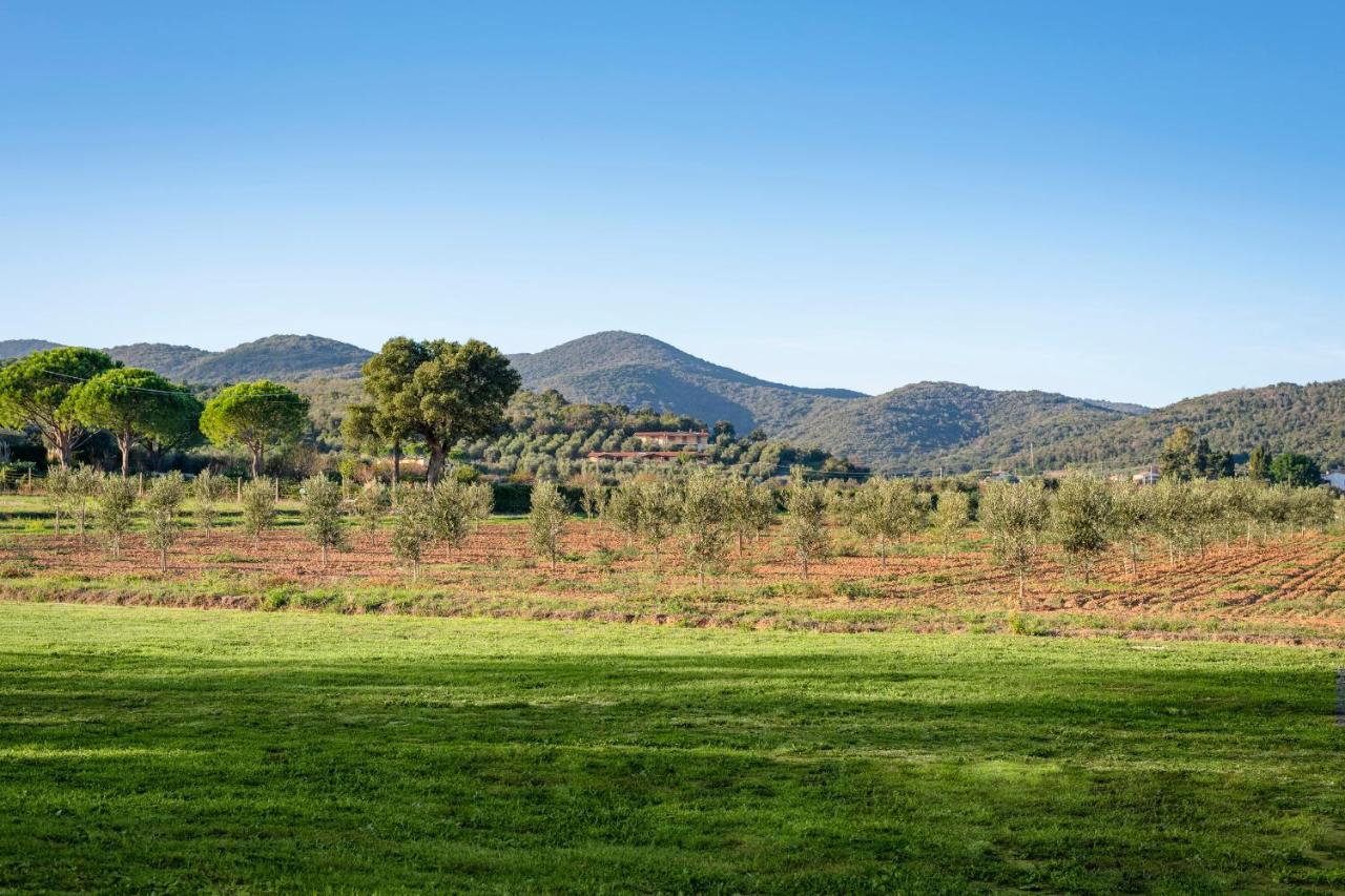 קסטליונה דלה פסקאיה Agriturismo Terre Di Castiglione מראה חיצוני תמונה
