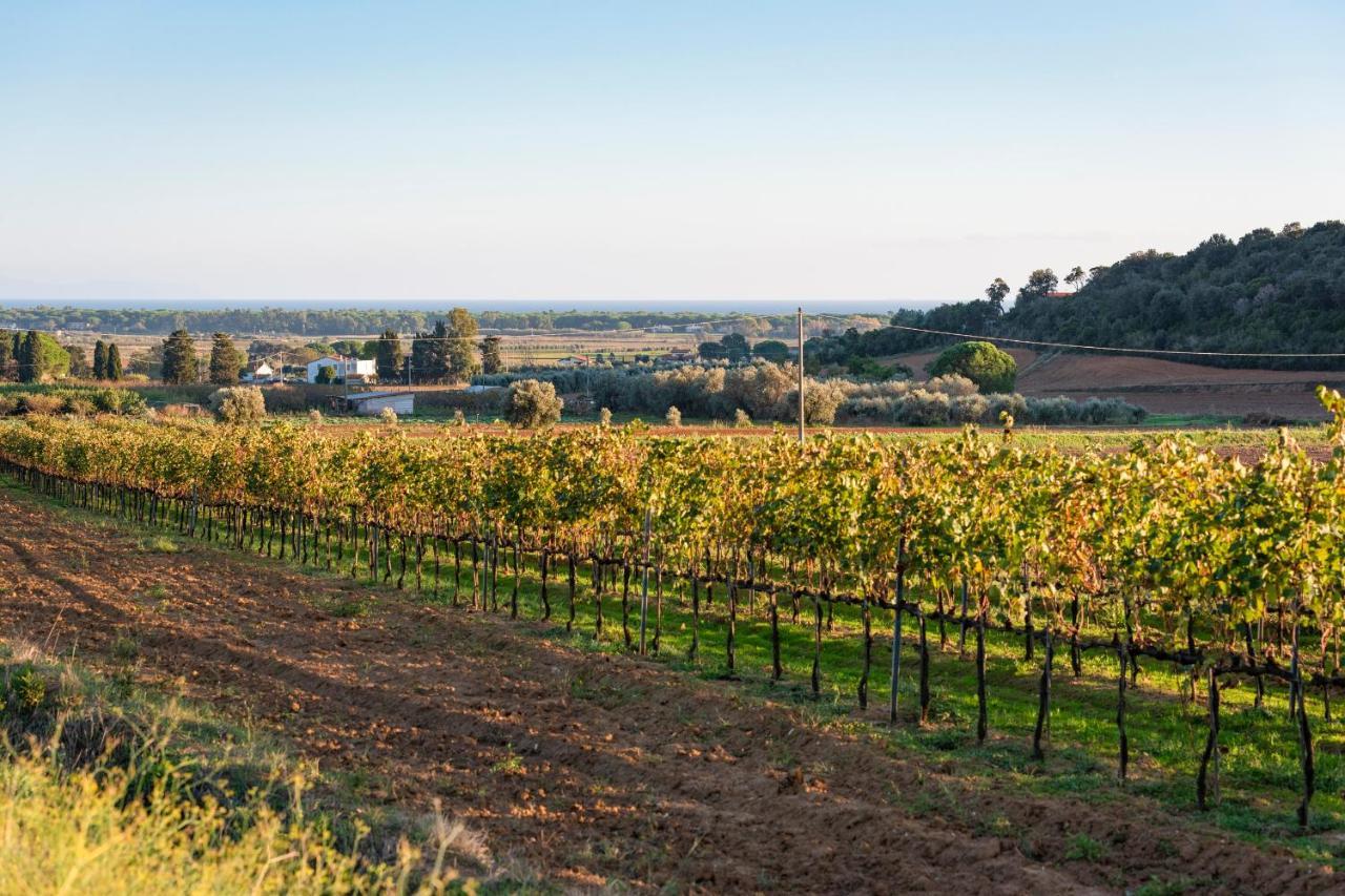 קסטליונה דלה פסקאיה Agriturismo Terre Di Castiglione מראה חיצוני תמונה